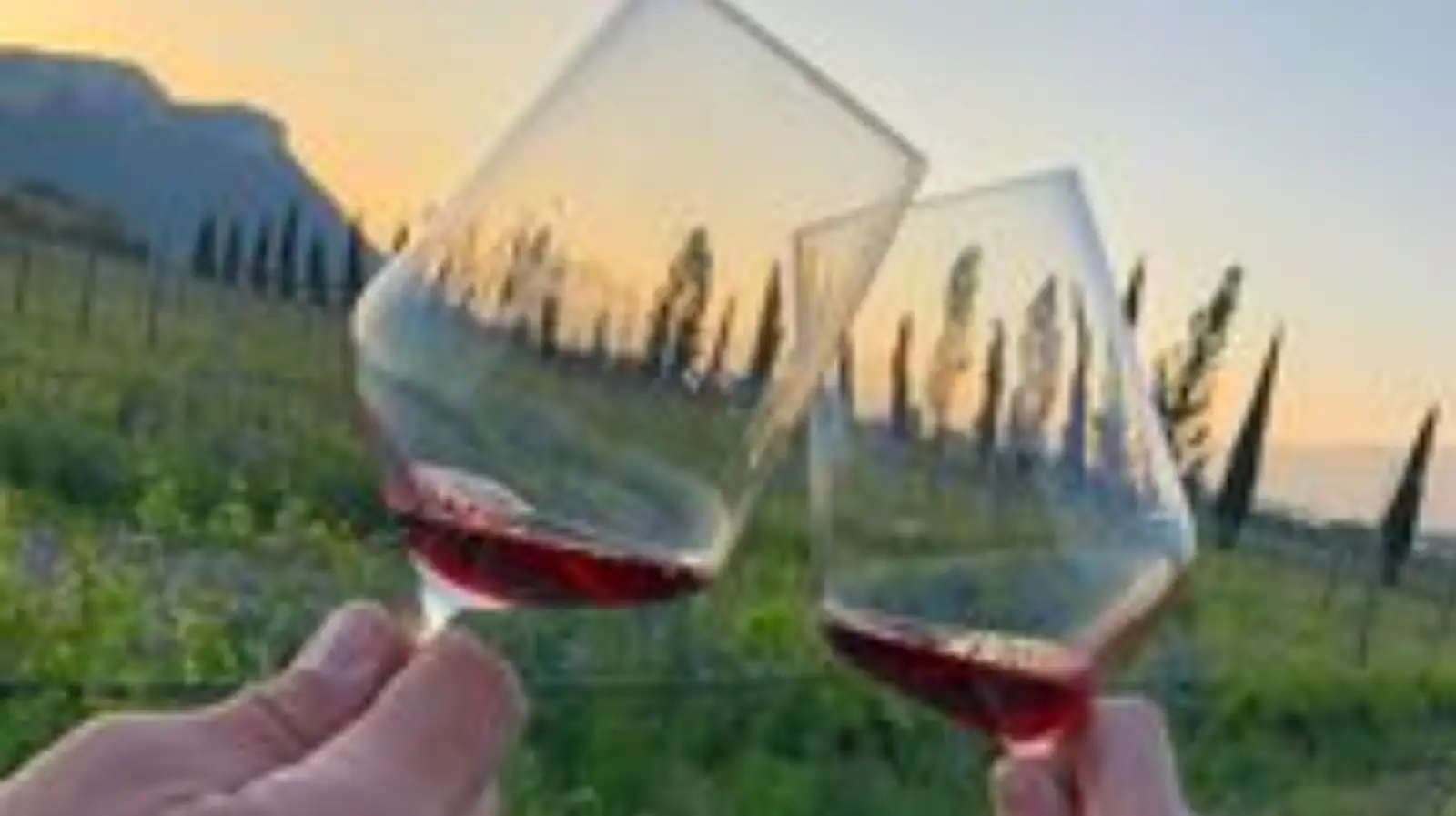 Weekend at the winery – Image 3