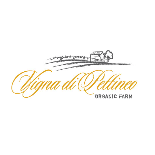 Logo cantina Vigna di Pettineo