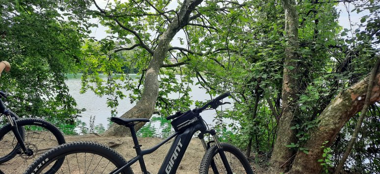 Immagine paesaggio tipovisita Giornata in E-bike per la Franciacorta e pic nic in vigna