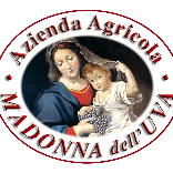 Logo cantina Madonna Dell'Uva