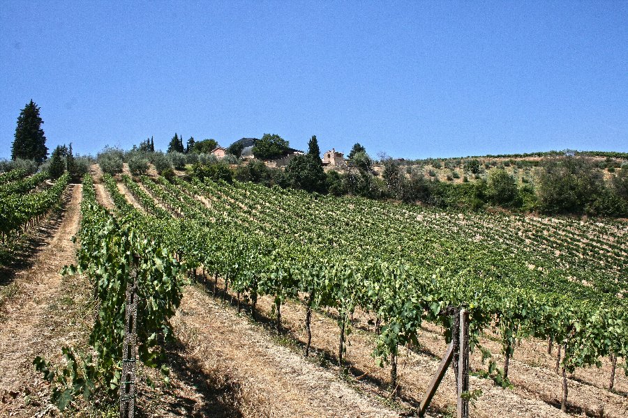 Arrigoni Wine Family - Pietraserena