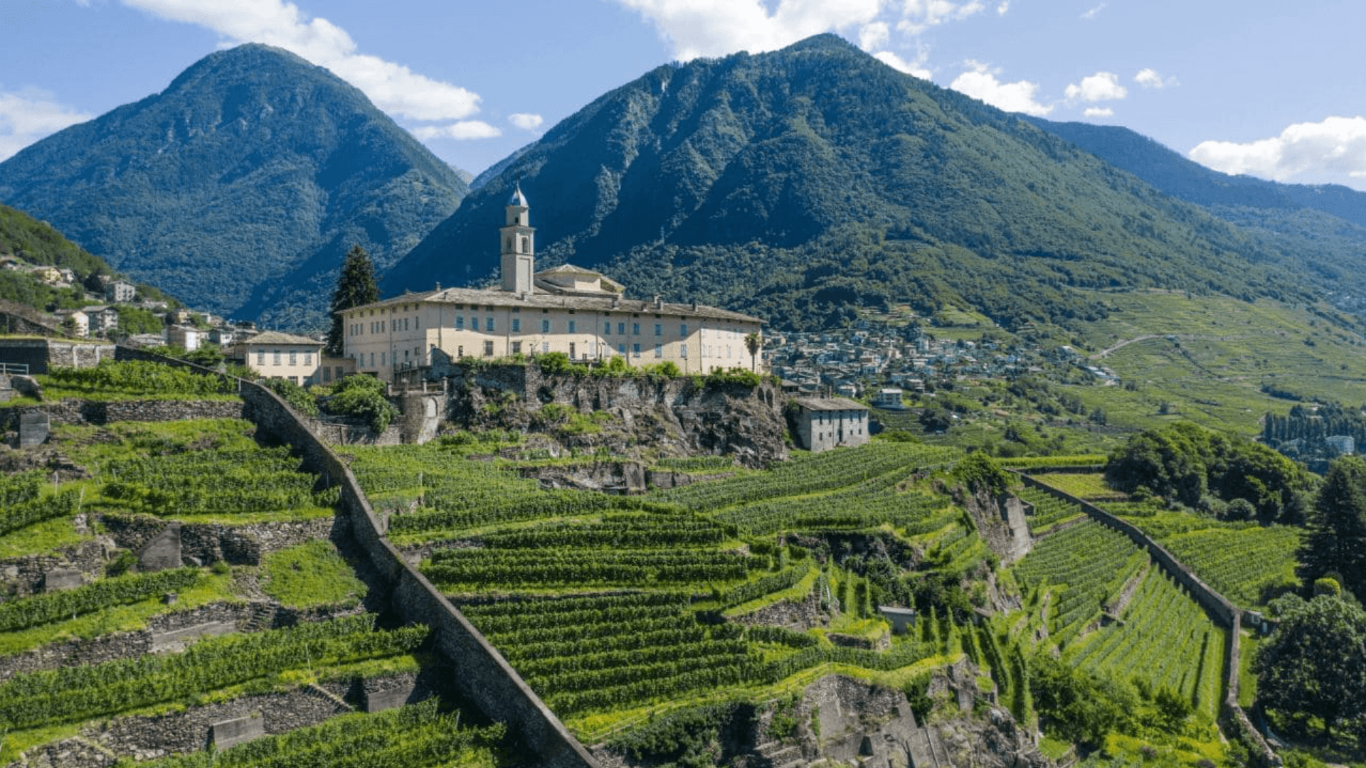 Immagine cantina Mamete Prevostini Valtellina