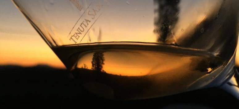 Immagine paesaggio tipovisita 1. Degustazione Vini autoctoni Marchigiani – Verdicchio dei Castelli di Jesi DOC e Lacrima di Morro d’Alba DOC