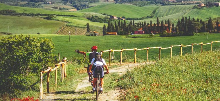 Immagine paesaggio tipovisita Bike&Wine