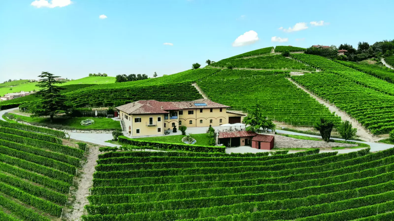 Costa di Bussia - Tenuta Arnulfo – Immagine 1