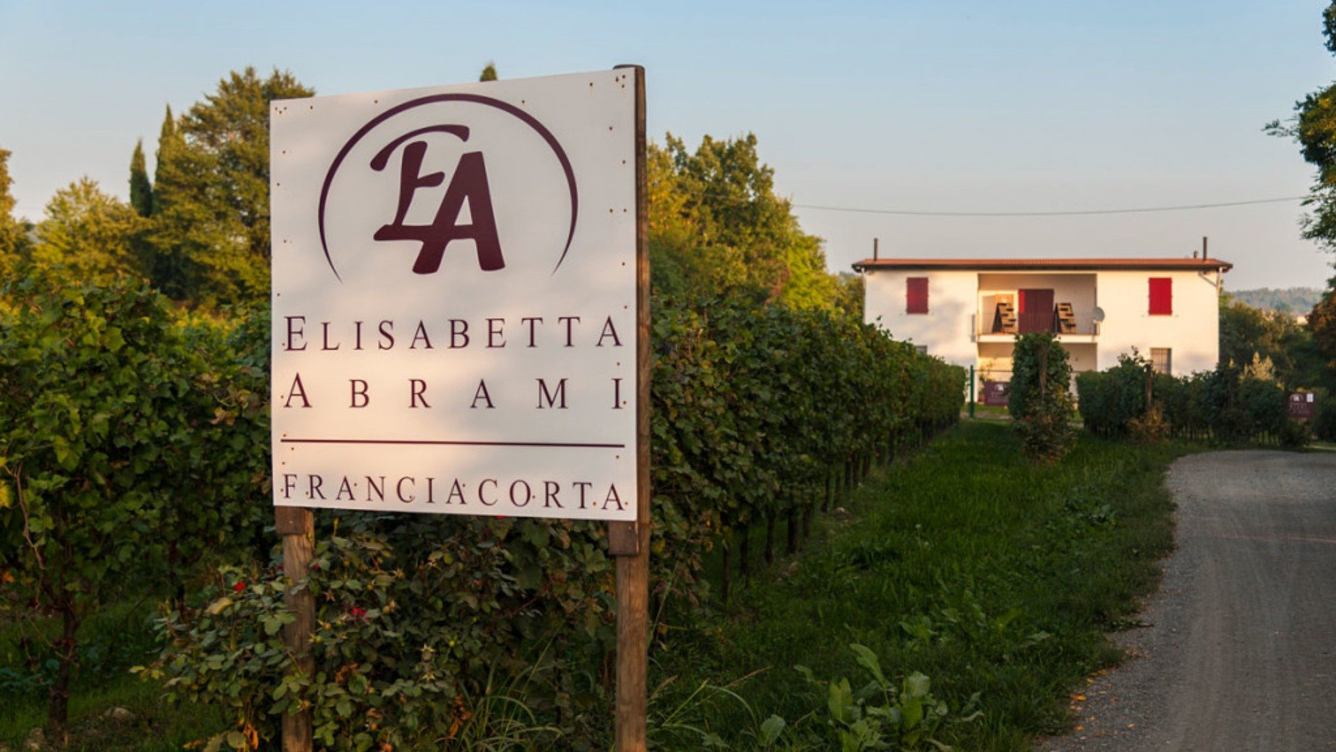 Immagine esplicativa evento Cena in Cantina - Elisabetta Abrami