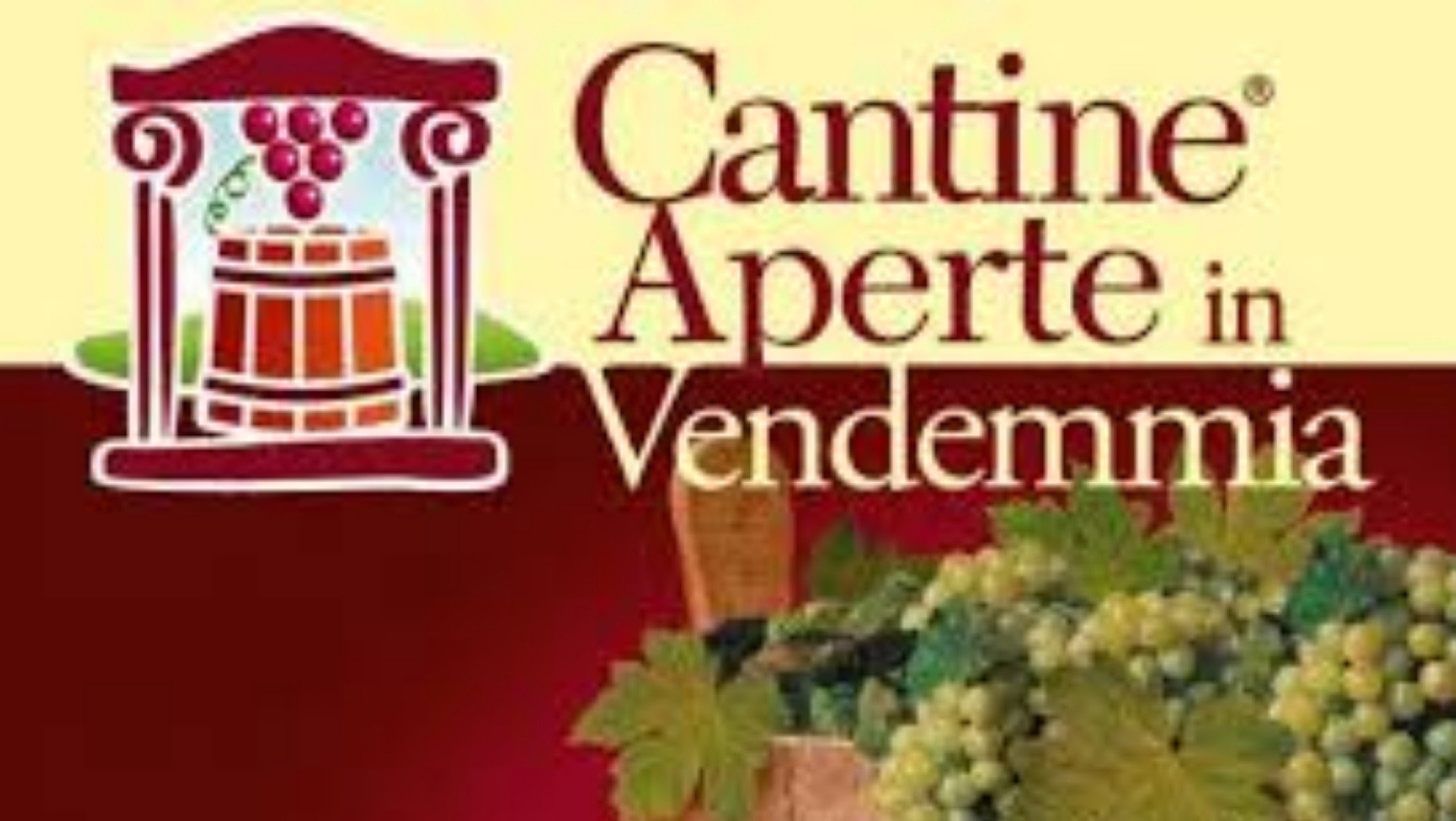 Immagine esplicativa evento CANTINE APERTE IN VENDEMMIA