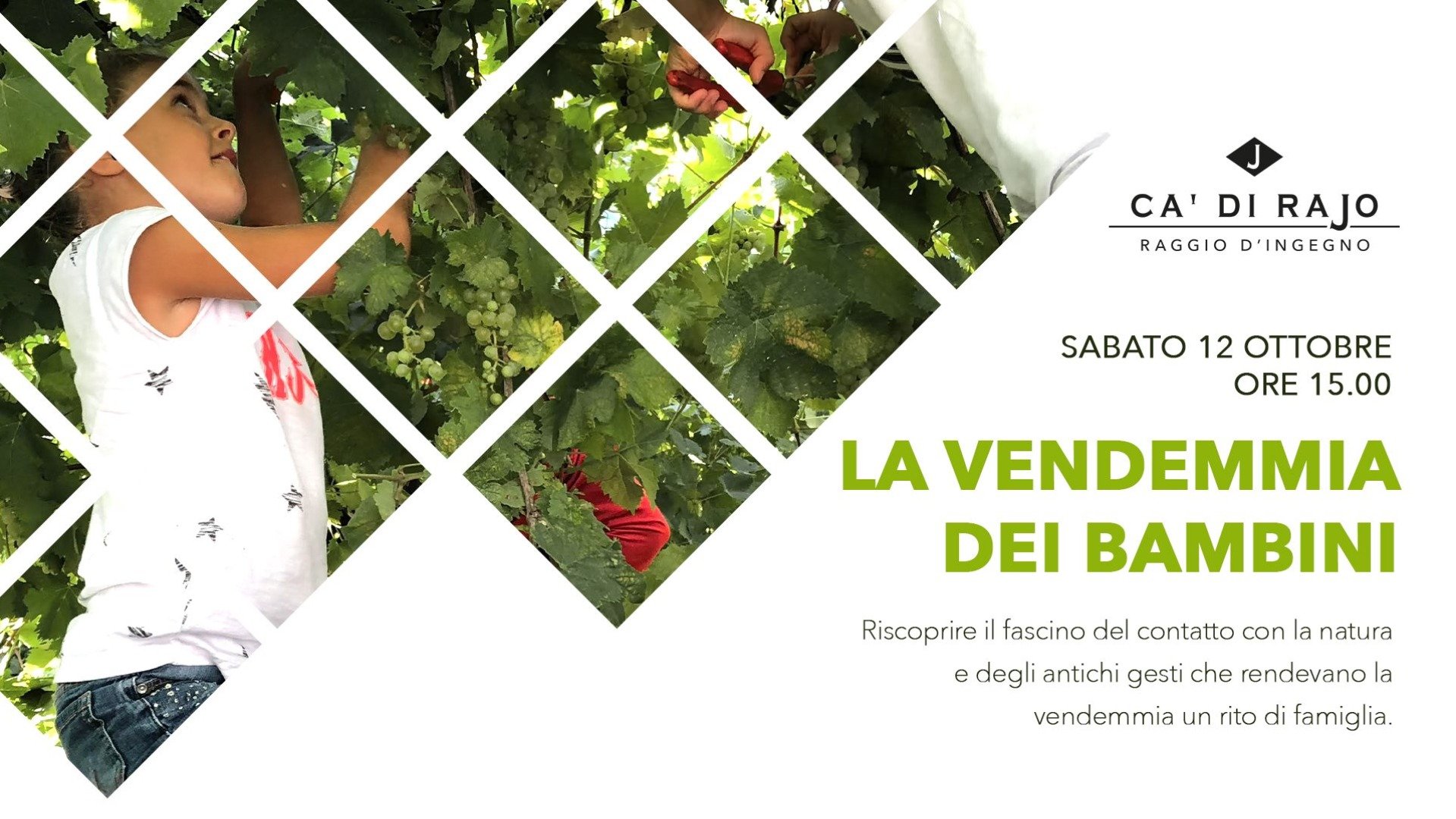 Immagine esplicativa evento LA VENDEMMIA DEI BAMBINI