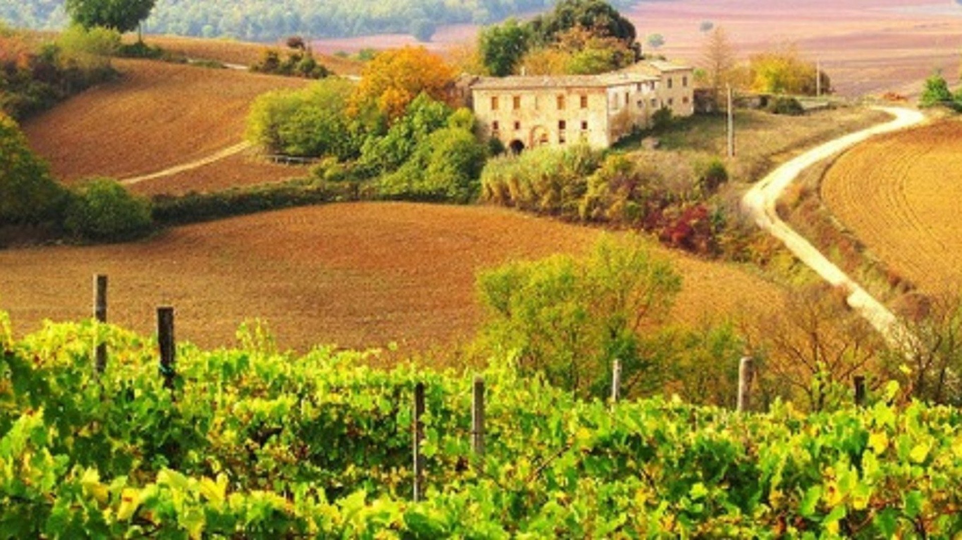Degustazione vini Toscana