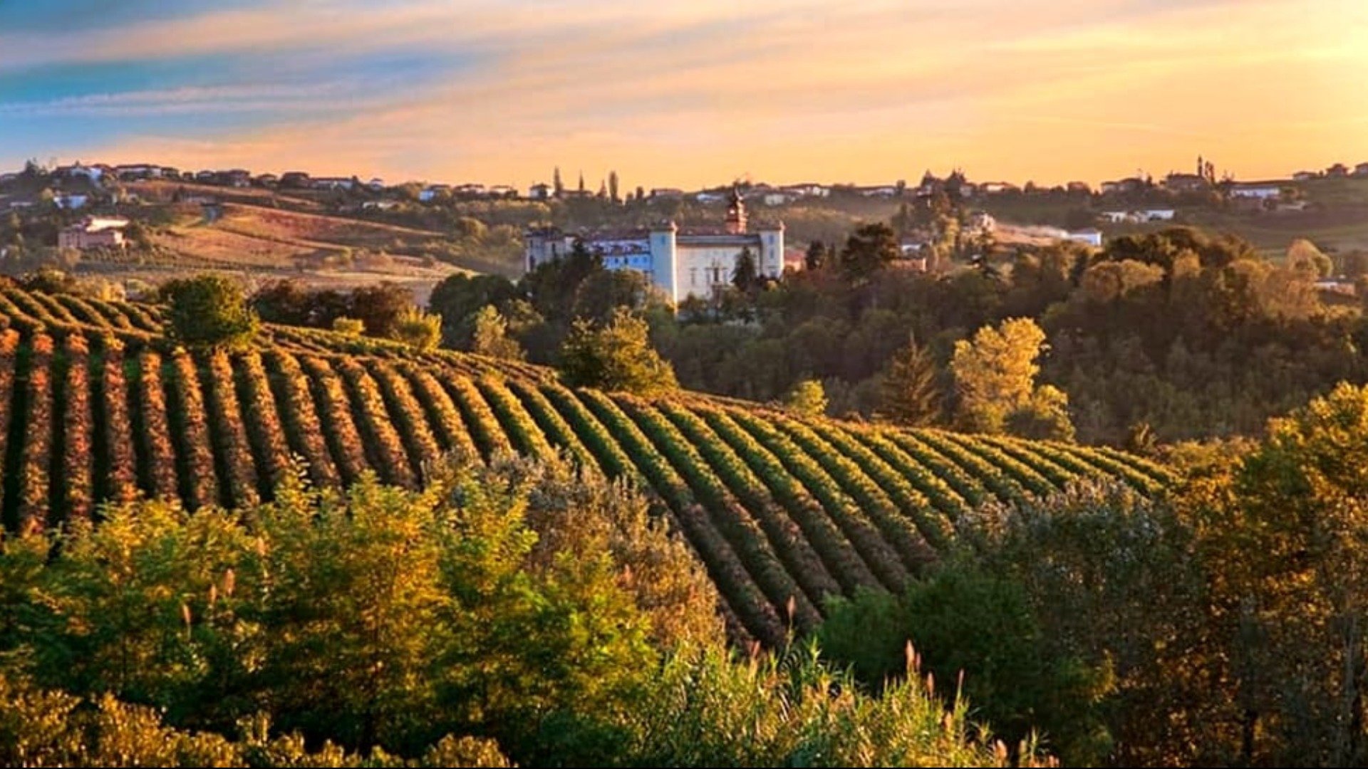 I grandi vini del Piemonte
