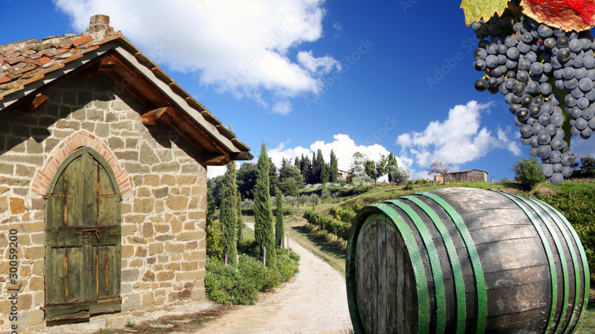 Immagine esplicativa gruppo Degustazione Vini Umbria: Un viaggio nelle rinomate cantine umbre