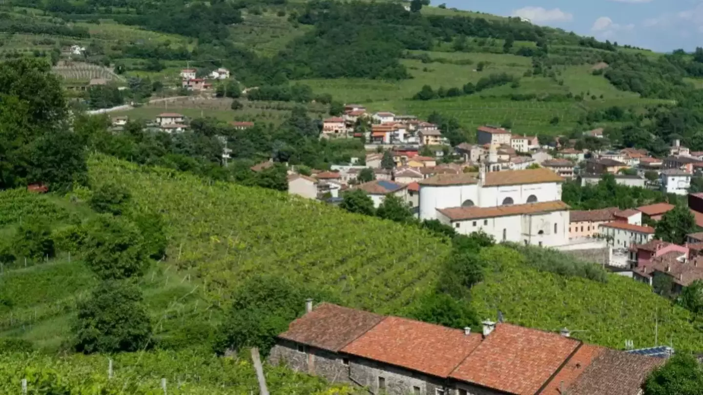 Menti Giovanni Menti Giovanni