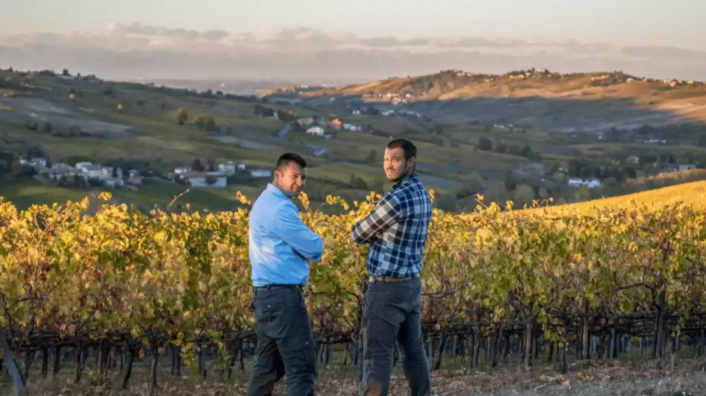 Weingut Calatroni Weingut Calatroni