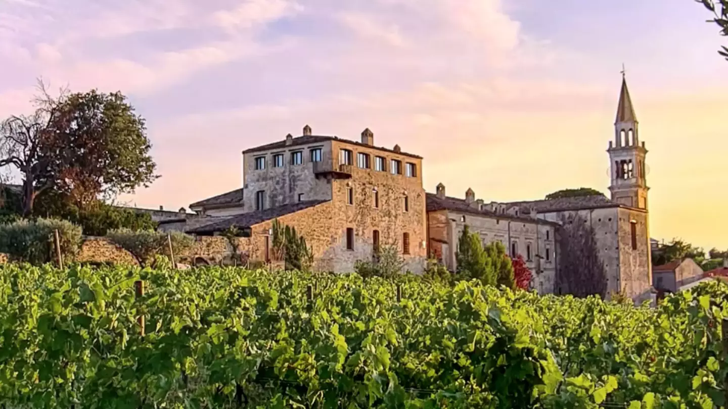 Vino & Meraviglia Vino & Meraviglia