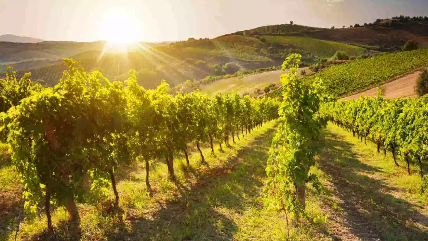 Tramonti & Terrazze Tramonti & Terrazze