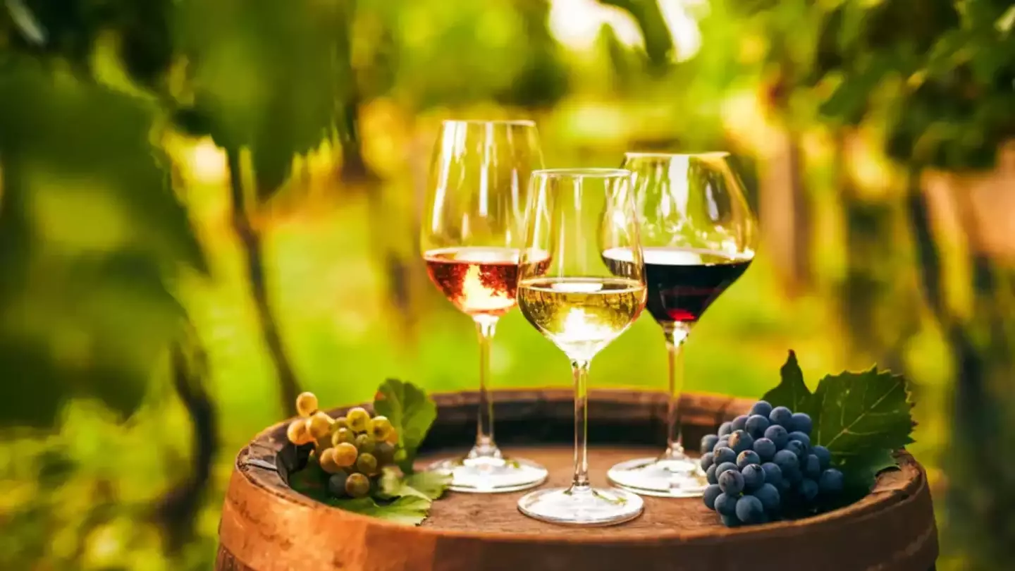 Wine & Nature Wine & Nature