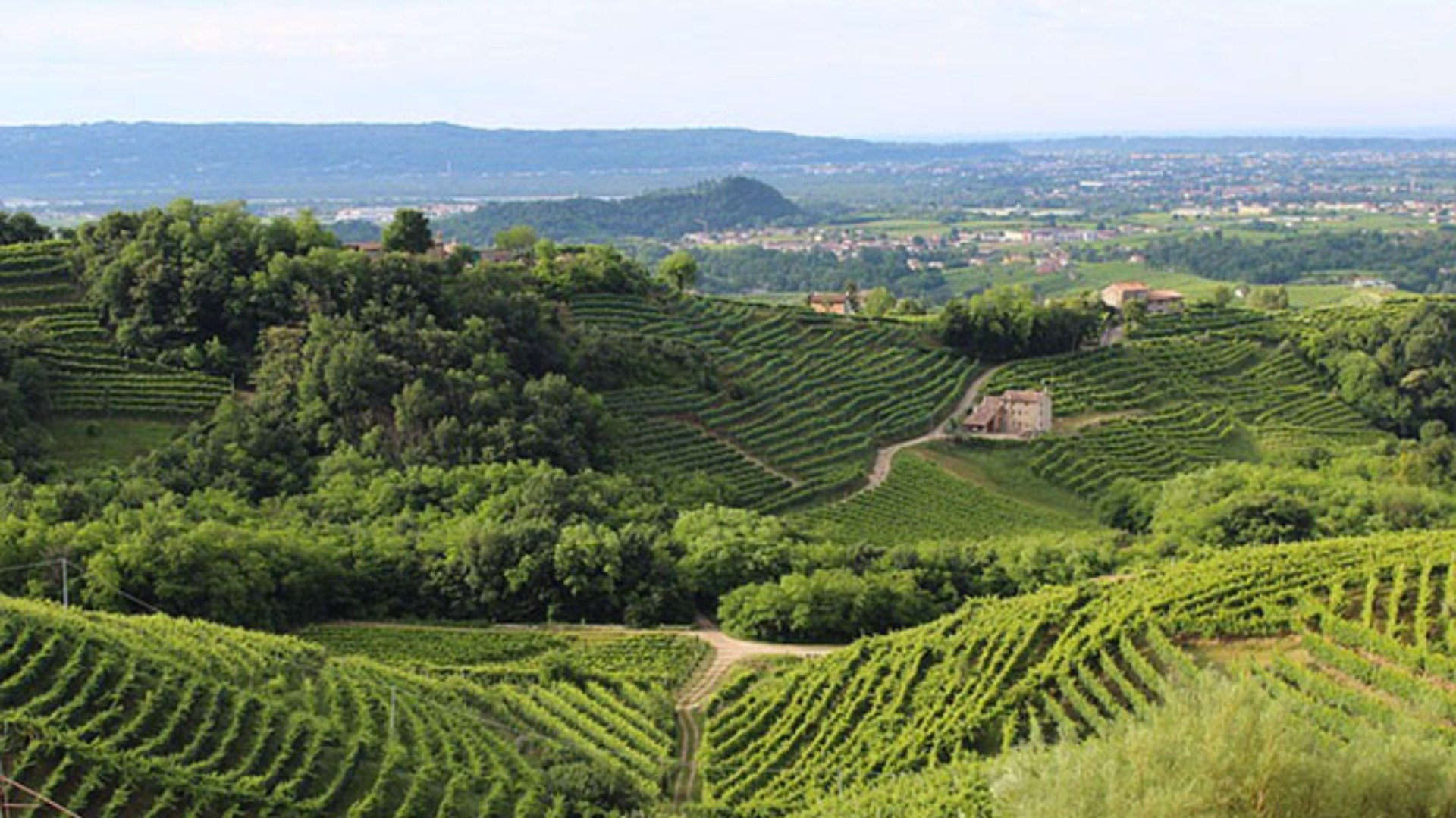 immagine strada Route of wine of Montello and Colli Asolani