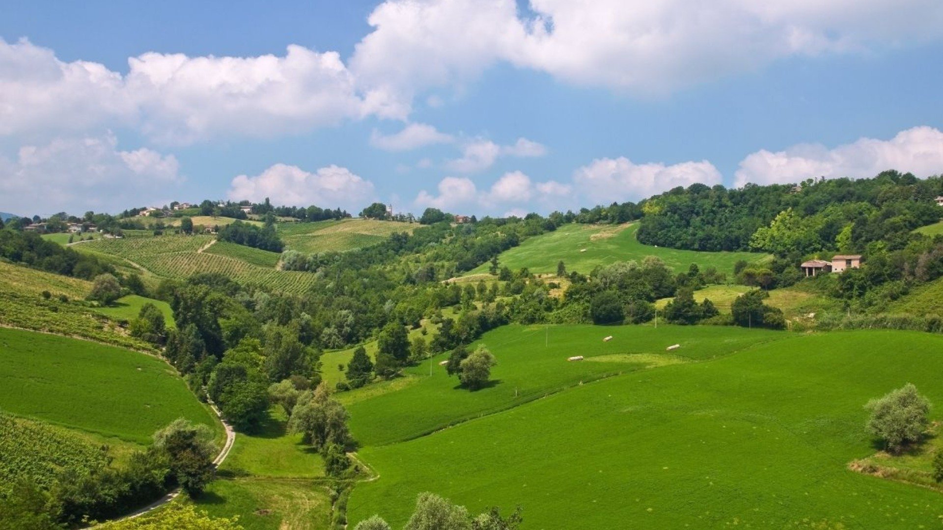 Immagine cantina Colli di Parma