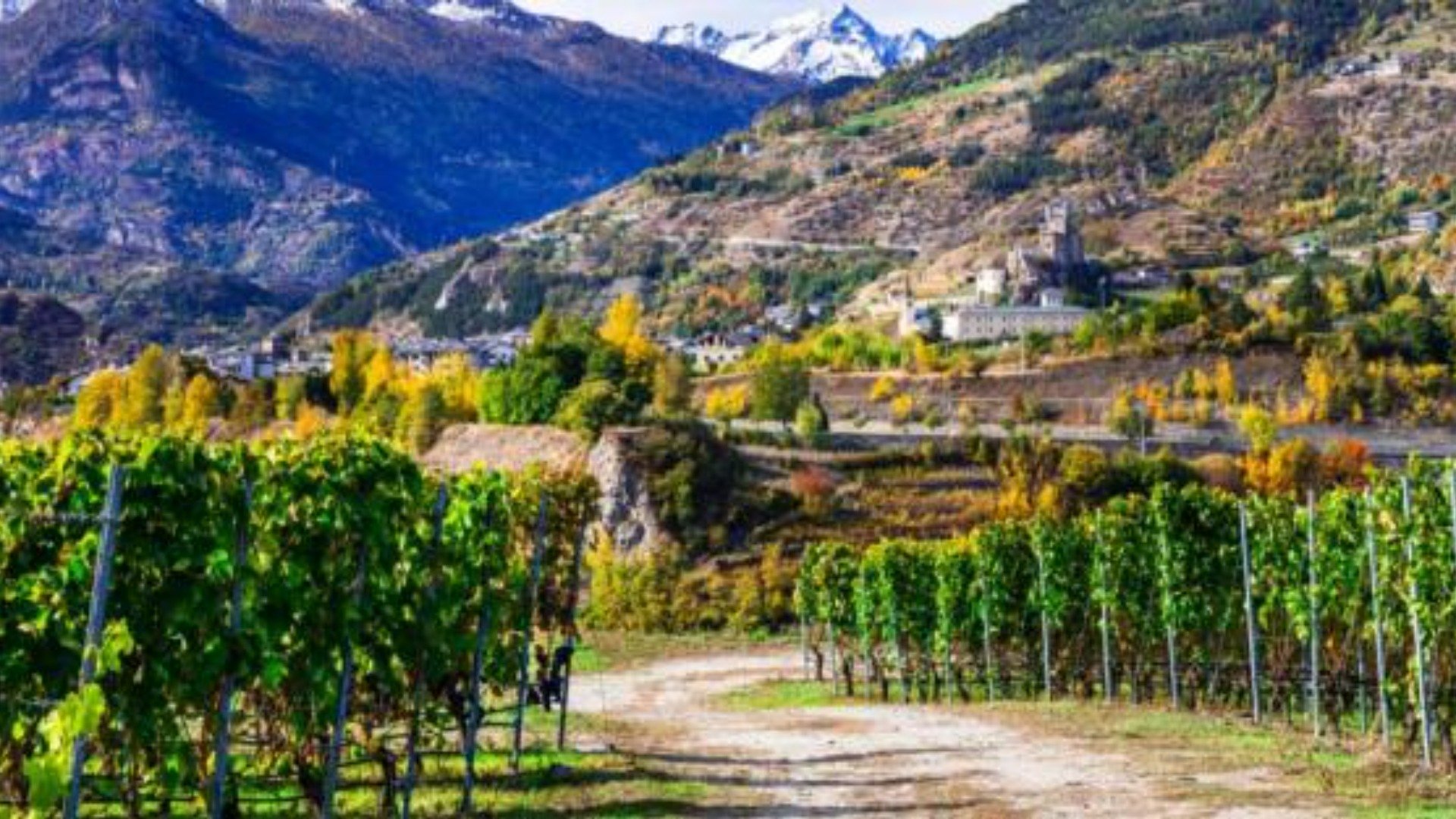Immagine cantina Valle d’Aosta 