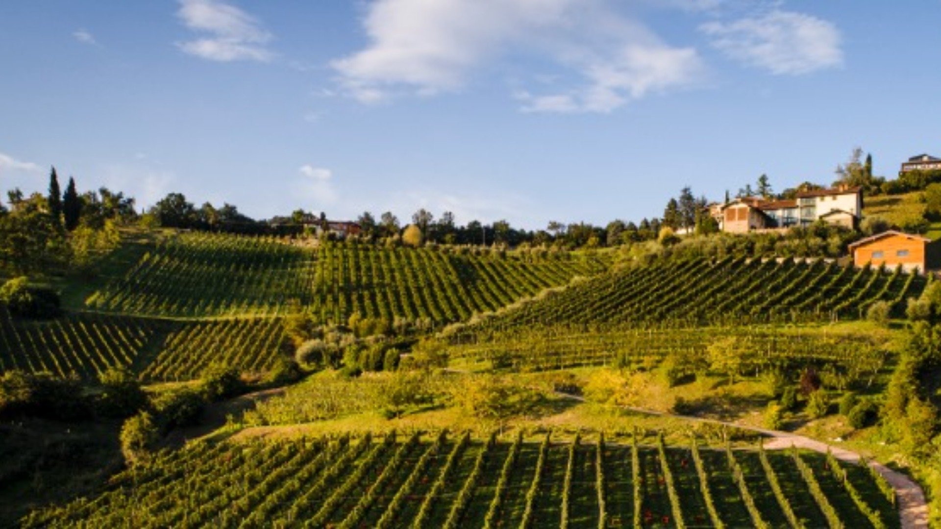 immagine strada Road of Valcalepio Wine and Flavors of Bergamo
