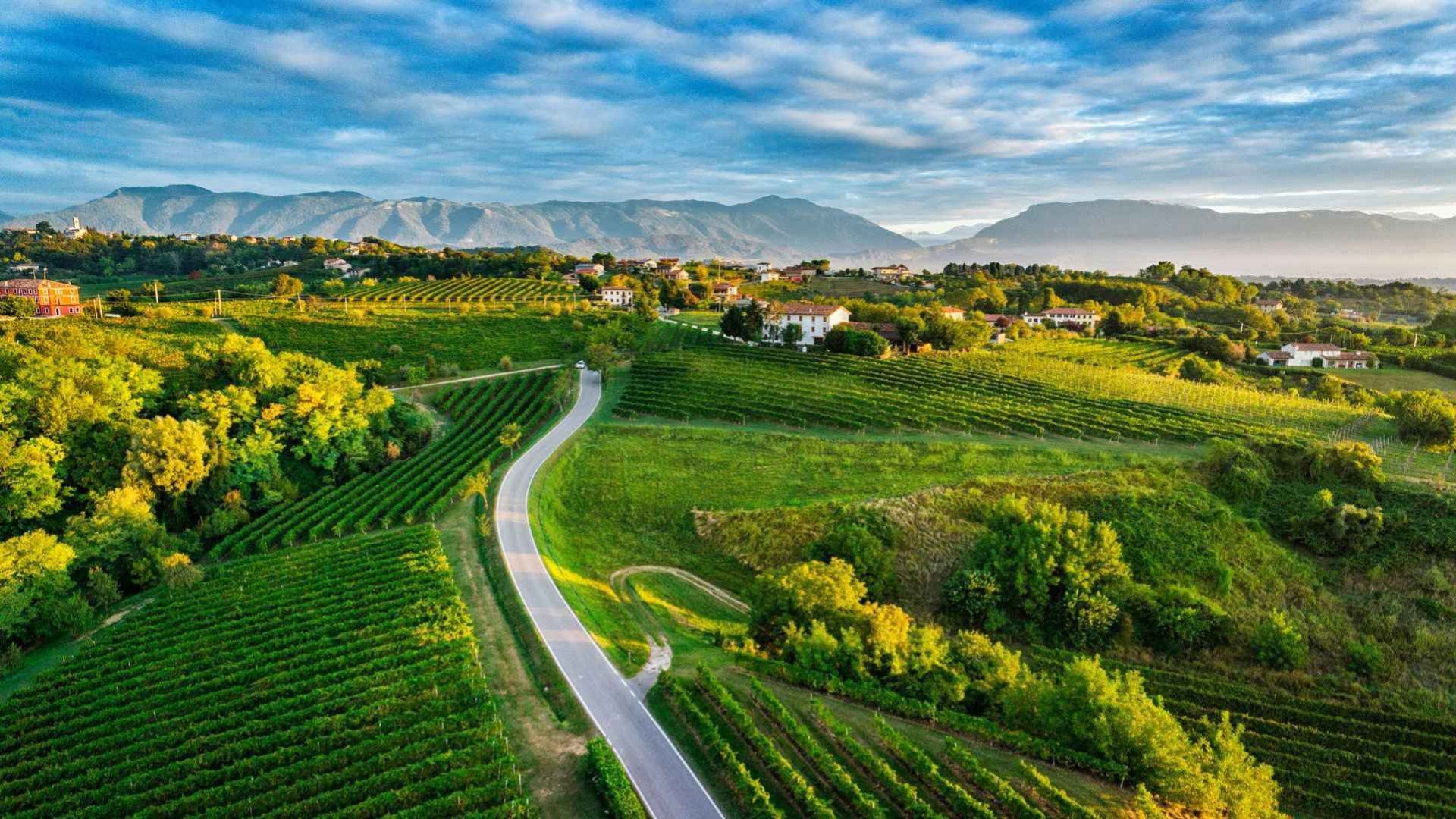 immagine strada Road of Prosecco and Wines of the Conegliano Hills - Valdobbiadene