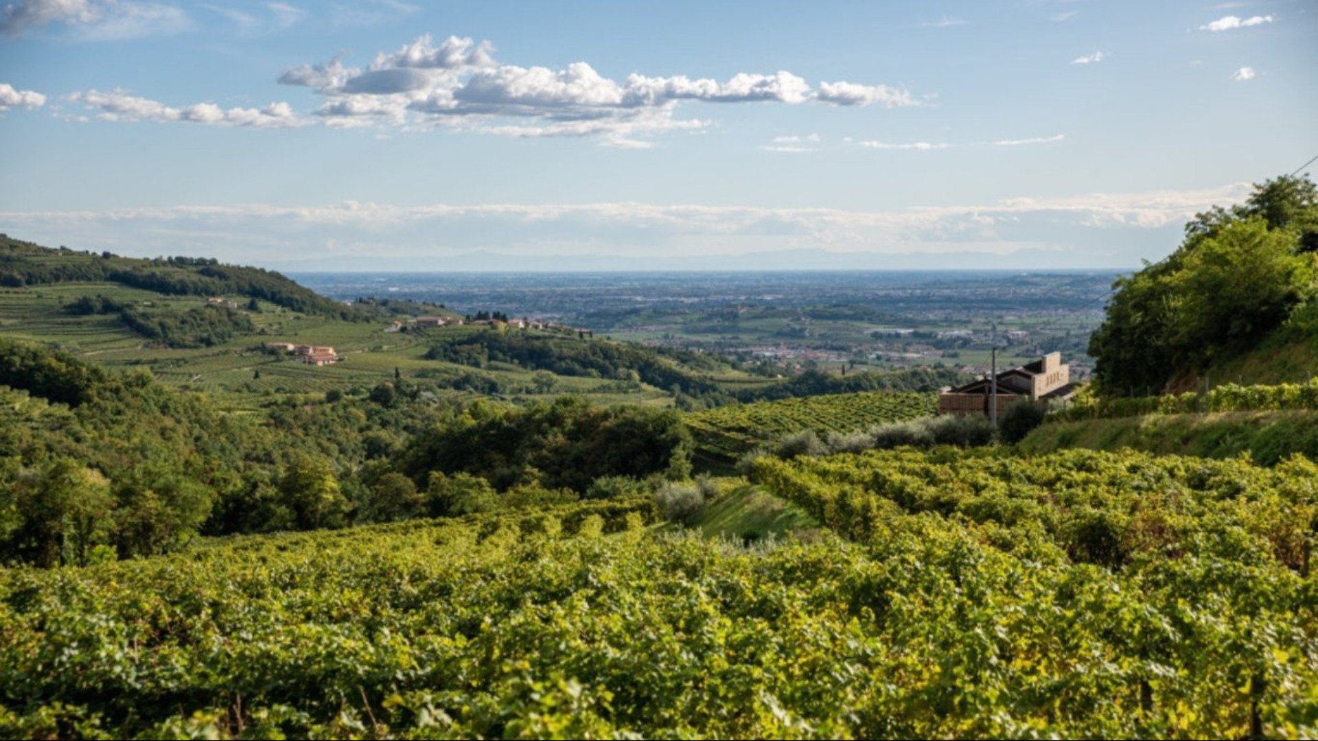immagine strada Valpolicella wine route