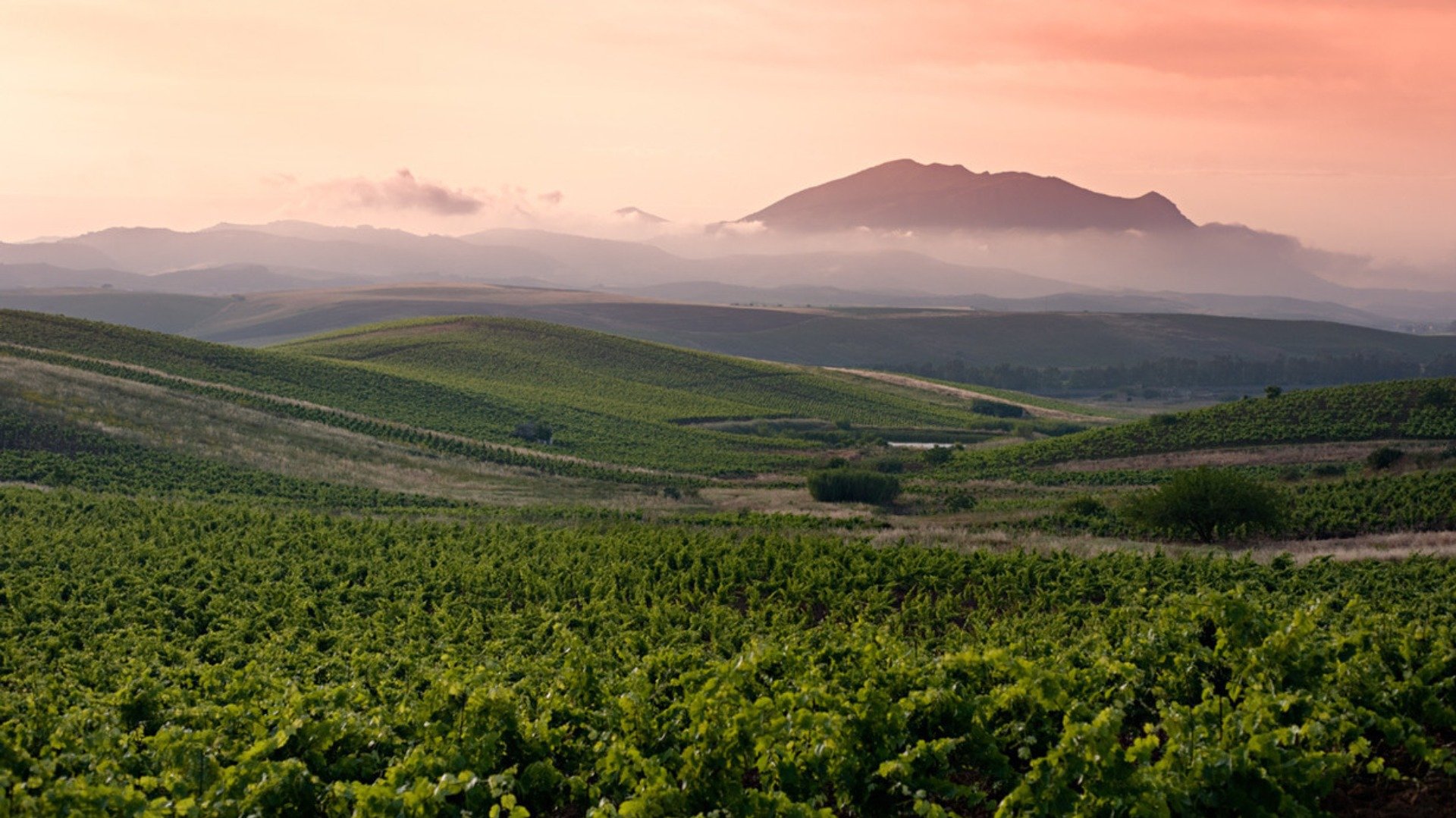Immagine tipologia Sizilien: eine sensorische Reise durch die Weingüter