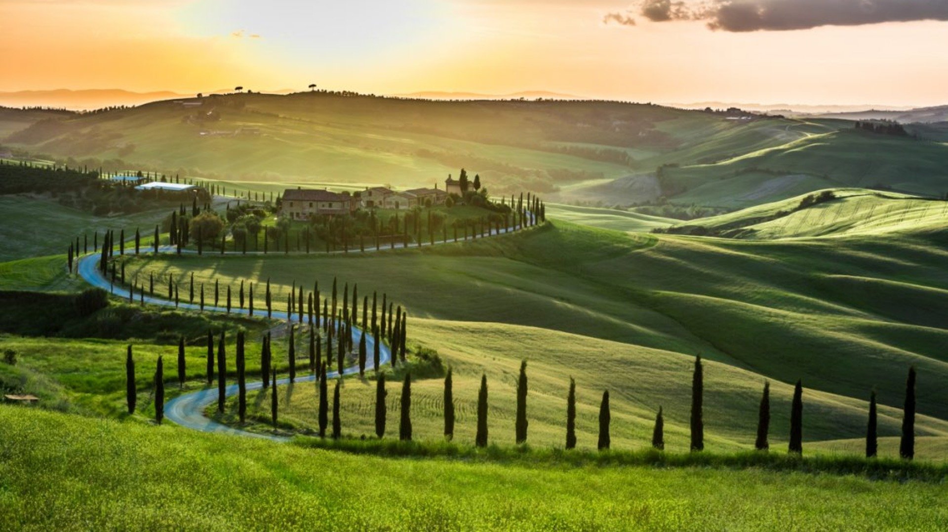 Immagine tipologia Tuscan wineries