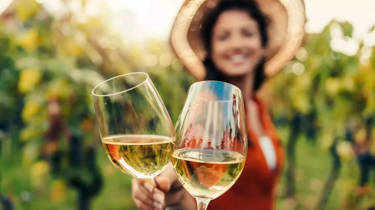 Curated Wine Experiences for You Curated Wine Experiences for You