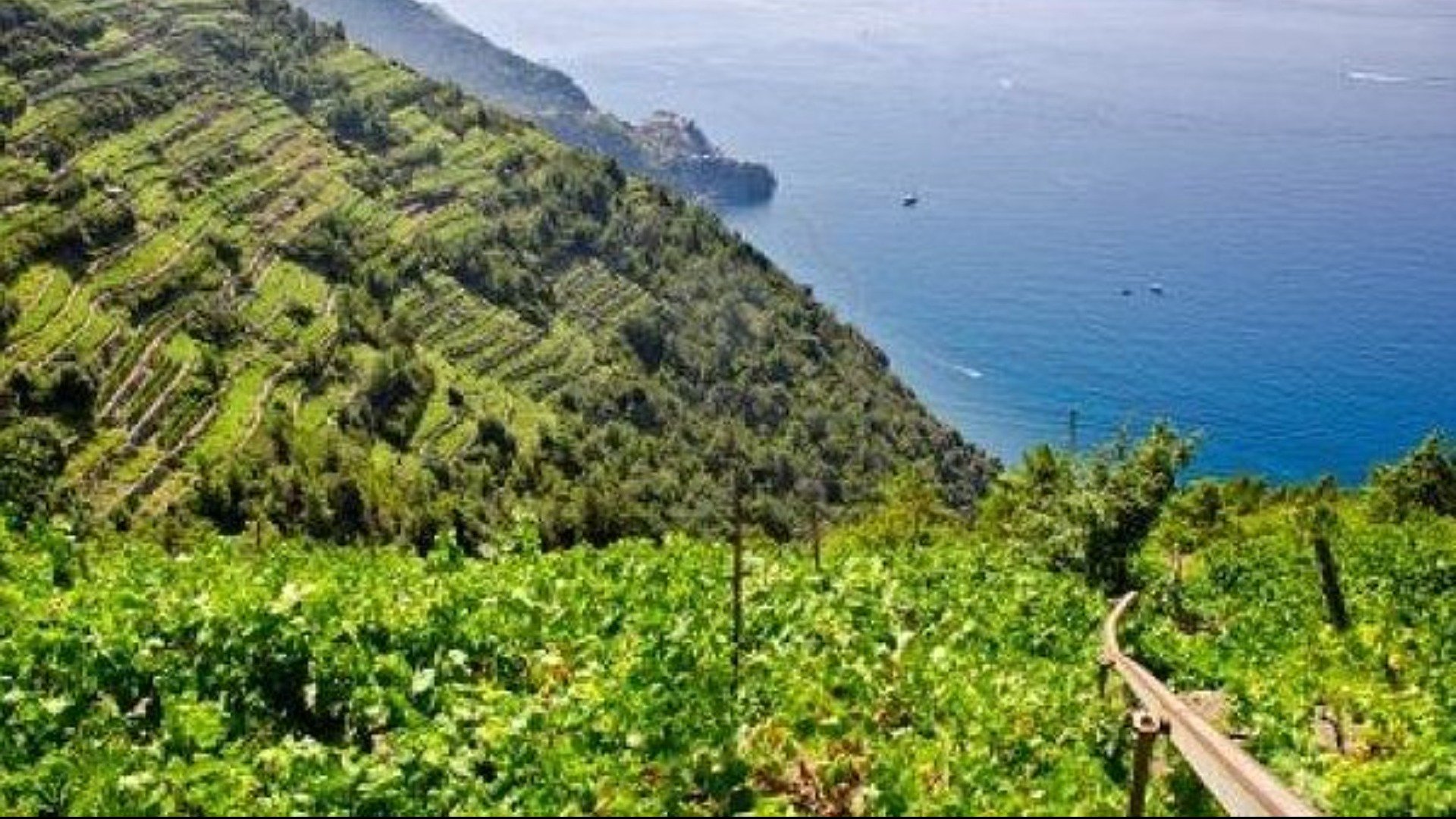 Immagine tipologia Ligurien: Eine Reise von Meer zu Bergen in Weingütern